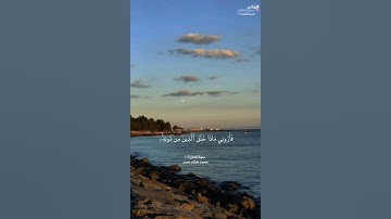 ﴿هذا خلق الله...﴾ [لقمان: ١١] || القارئ محمد هشام حسن