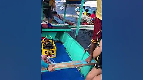 First Diving
