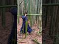 No one starts out perfect.最初からできることはない。#侍 #samurai