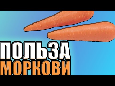 ЧЕМ ИЗВЕСТНА МОРКОВЬ интересные факты про морковку