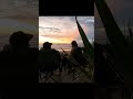 beauty of a sunset