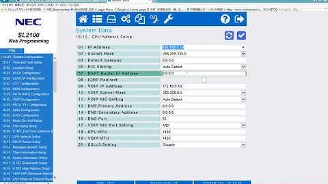 PBX NEC L1000(SL2100)   setup Plug＆PlayPBX