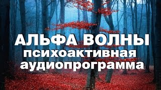 АЛЬФА ВОЛНЫ. Медитация глубокий транс, самогипноз