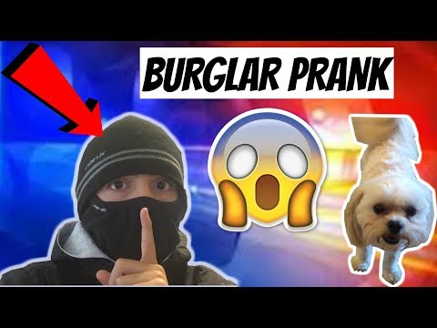 burglar-prank-on-my-dog!!