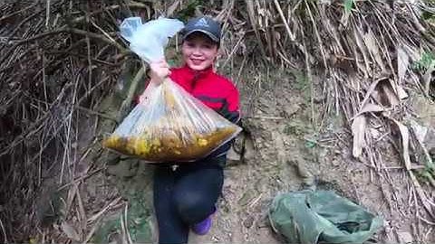 Khai Thác Siêu Mật Trong Hang Đá. lần Đầu Thử Cắt Mật Ong