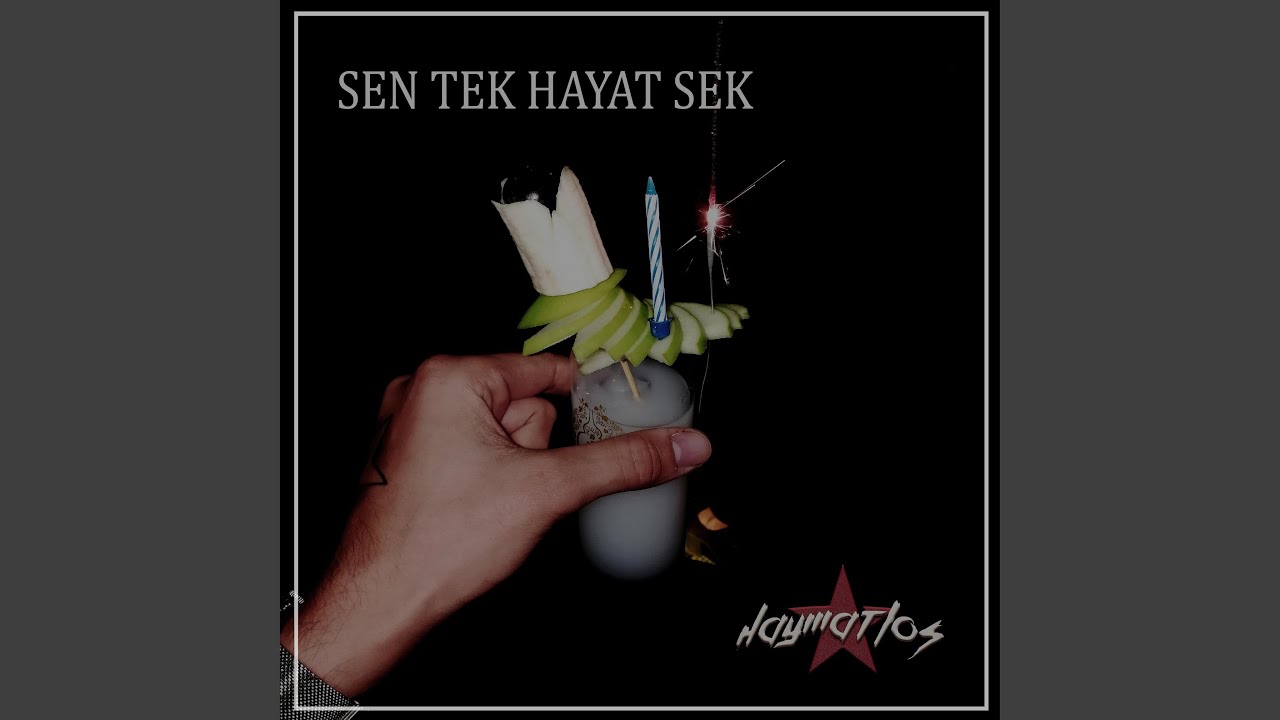 Sen Tek Hayat Sek