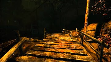 The Cursed Forest (Part 2)