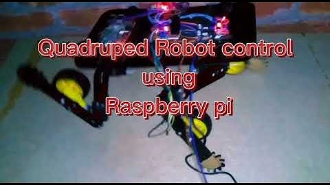 Quadruped Robot control using Raspberry pi