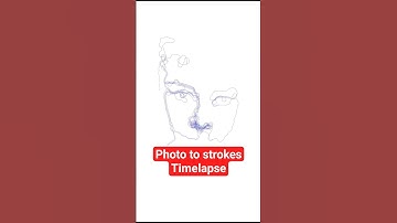 Timelapse Hepburn | Scribbling Algorithm v2.3.0 #shorts #scribbleart #drawing