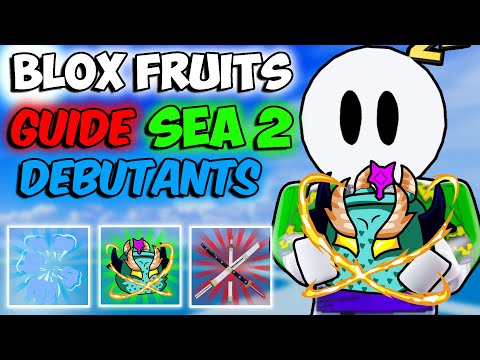 BLOX FRUITS GUIDE SEA 2 POUR DEBUTANTS !