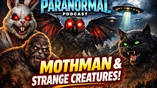 ITP: Ep 39 Mothman, Bigfoot & a Haunted Cat! | Cryptids, UFOs & Urban Legends