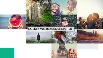Découvrez la recherche par image signée iStock