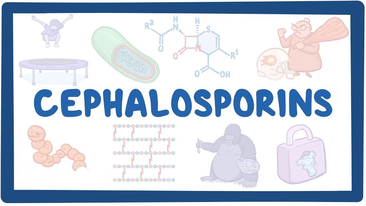 Cephalosporin Generations Explained YouTube