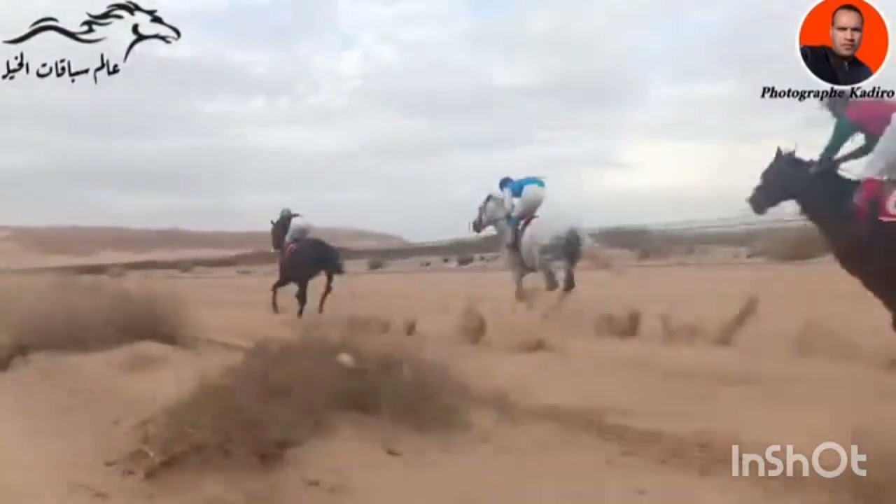 سباق الخيل ليوم 19 نوفمبر 2024 با مضمار اغواط مسافه 1400 المرتبه الاولى الحصان بركادين الف مبروك