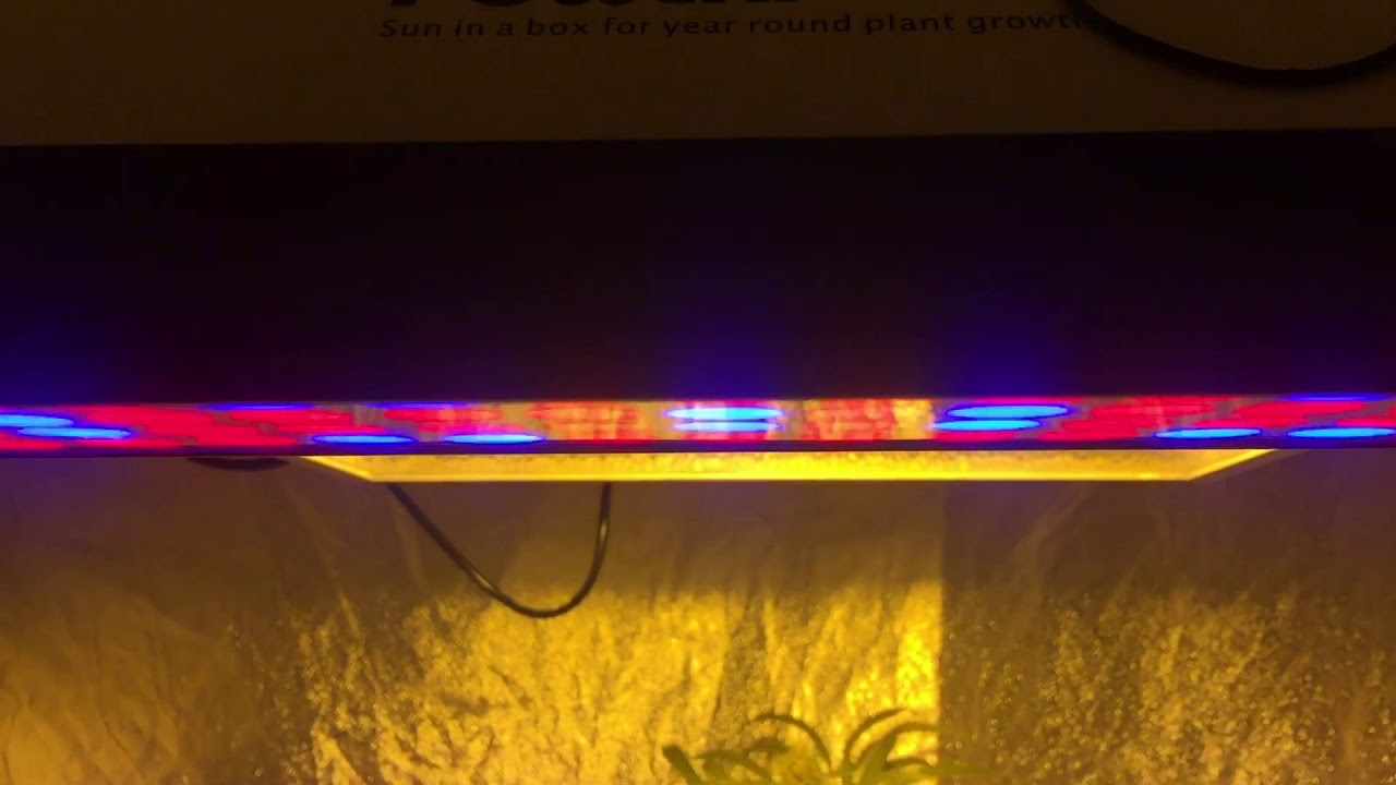 Flower day 54 platinum yeti f3,gift of fire f2,bubba 76 and 4 autos