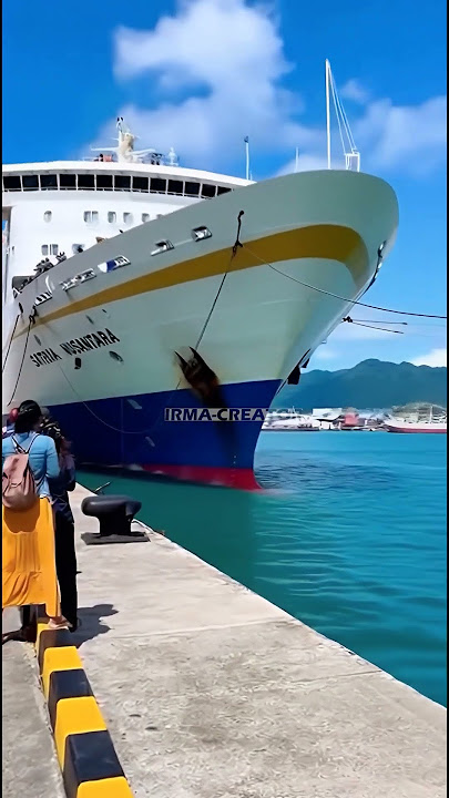 FERRY CRASHES PORT #simulasiai #ai #detikdetik