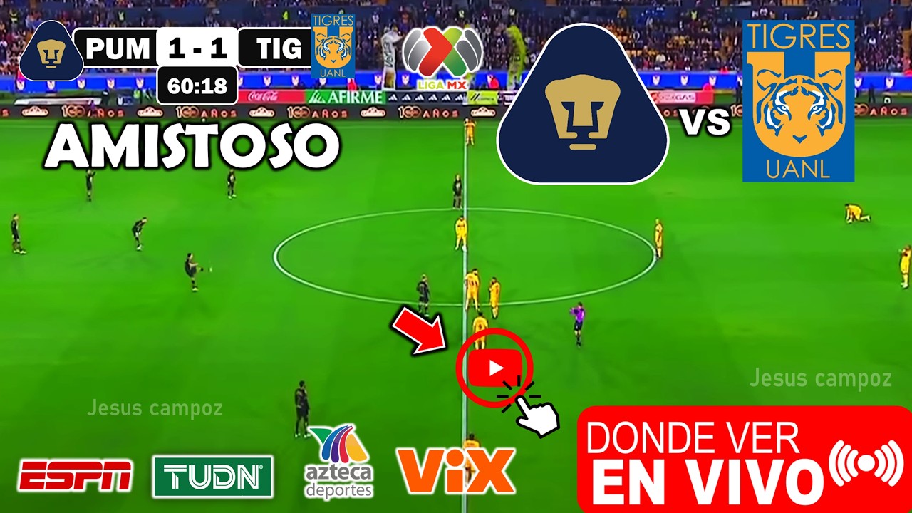 Donde ver Tigres vs. Pumas EN VIVO y a que hora juega Partido Tigres ...