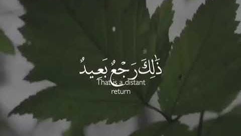 قد علمنا ما تنقص الارض منهم💙 قران كريم