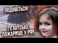 🔥“Крыша ПАДАЕТ, выходим!” Пітер і Москву накрили СТРАШНІ ПОЖЕЖІ. Людей евакуюють, цілі райони у диму