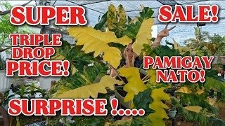 SURPRISE! SUPER SALE! TRIPLE DROP PRICE! PAMIGAY NATO!😍