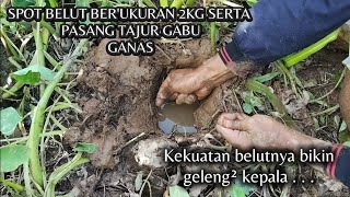 Download Lagu MANCING BELUT DI SPOT YANG DIHUNI BELUT 2KG ❗ MP3 Download Lagu MANCING BELUT DI SPOT YANG DIHUNI BELUT 2KG ❗ MP3