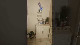 Whis Get The Friend Maker