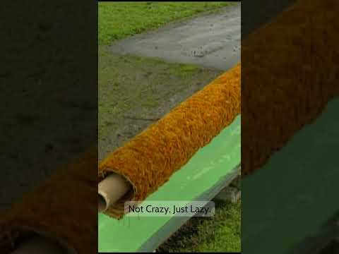 Not Crazy, Just Lazy | Handyman Tips | The Red Green Show