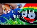 Life is Beautiful/平井大【ウクレレ弾き語り】(コード&歌詞付き)