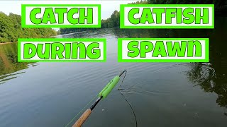 Catching A LOT of Catfish During the Spawn