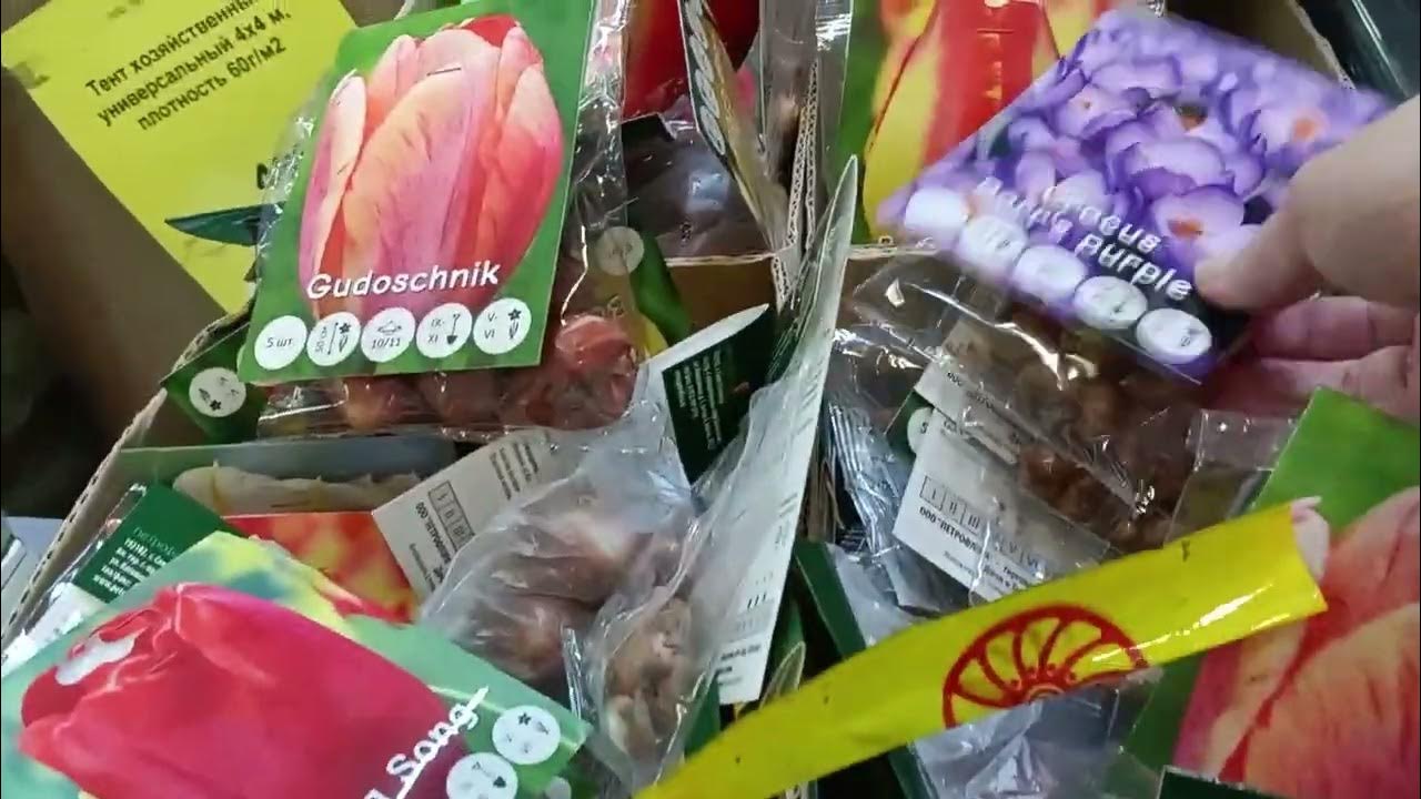 #светофор #вологда цены новости - YouTube