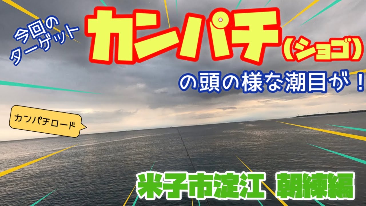 朝まづめ90分1本勝負 八の字に流れる潮目めがけて狙うはカンパチ ショゴ 編 米子市淀江 Youtube