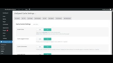 How to enable Redis Object Cache on LiteSpeed LScache plugin WordPress