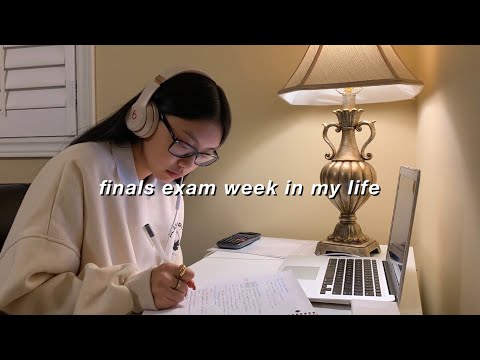 STUDY VLOG |