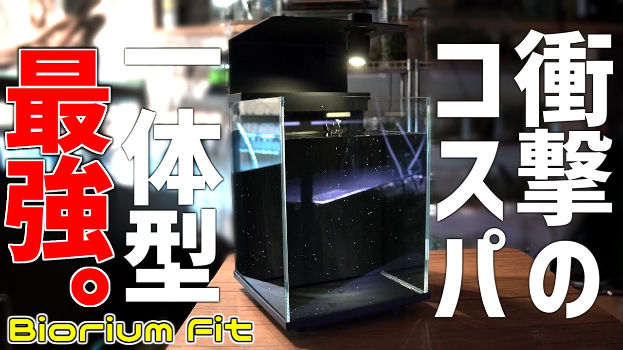 The Latest Compact All-in-One Aquarium Is Here! A Deep Dive into