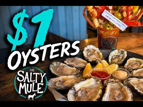 Meet the Owner of The Salty Mule in Canton, GA