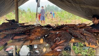 5-DAY SURVIVAL: Camping in the Natural Habitat of Giant Semah Fish & Eels