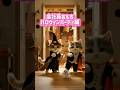 会社員おもち〜ハロウィンパーティ編 #cat #猫 #aicat #ai猫 #catvideos #cute #animation