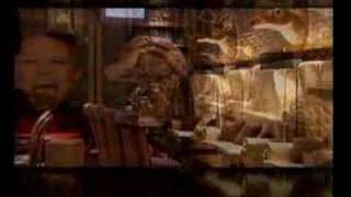 Brewery Limassol Design by Cyfast