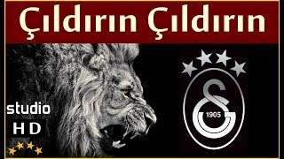 Video thumbnail of "Çıldırın Çıldırın (Stüdyo) - Galatasaray Marşları"