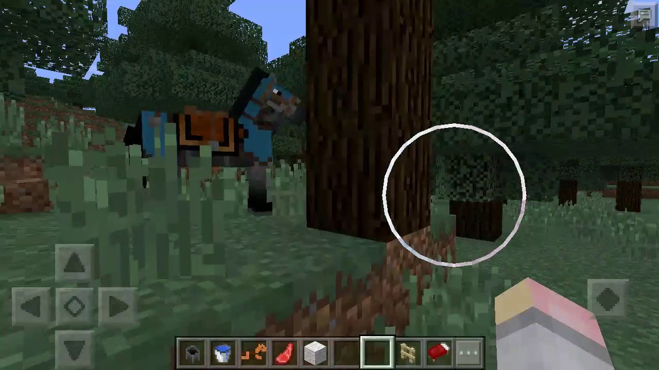 включи майнкрафт как приручить. приручить оцелота в майнкрафте. зомби прирученный в майнкрафте. как приручить жителя в майнкрафт. призвать дракона в майнкрафте.