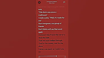 Taylor Swift Champagne Problems Lyrics 