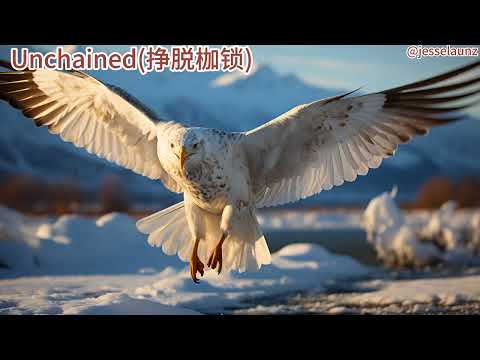《Unchained 挣脱枷锁》
