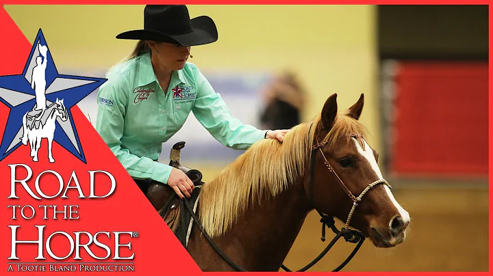 Road to the Horse 2017 - Extra Footage - Sarah Daw...