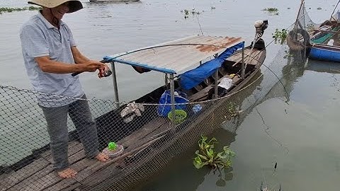 Trải nghiệm thuê xuồng máy đi câu tôm càng xanh tại bè sa đéc | vui miền tây vlog