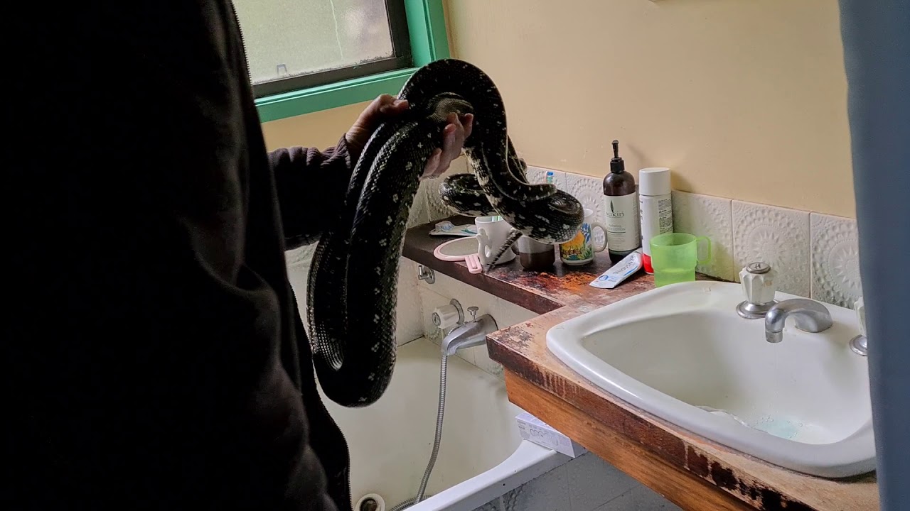 python tank cleaner bathroom sink