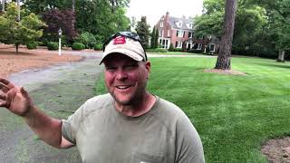 How To Prevent Brown Patch In Fescue & Sure Power  herbicide