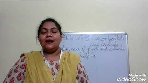 Class 2 (B)#Date15/9/20# lesson 8#@sfsnarengi