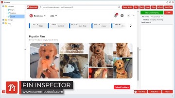 Extracting Pinterest Trends Data in the Browser & Scrape Tool - Pin Inspector