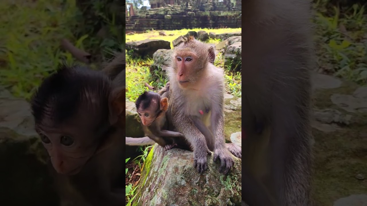 Adorable Baby Elleyna With her Mom Ellen