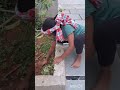 #My chota mad gardener #honey is the best#